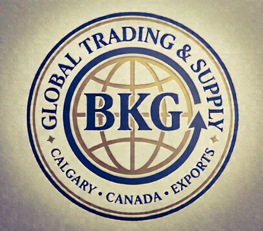 bkg-global.ca